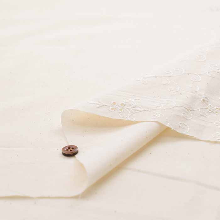 Cotton Cambric Border Lace Fabric - nomura tailor