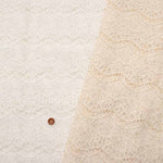 Scallap lace fabric - nomura tailor