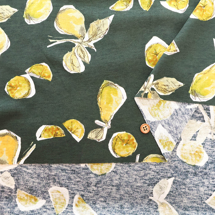 UV-treated, Mercerized Cotton 80/2 Combed Rib Knit Printed Fabric - Flower - nomura tailor