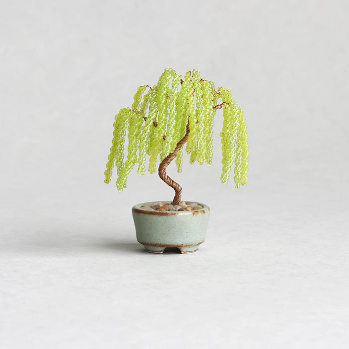 Twist BONSAI Kit - Willow - nomura tailor