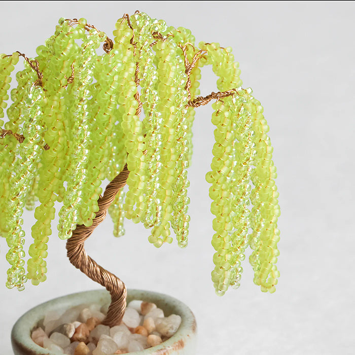 Twist BONSAI Kit - Willow - nomura tailor