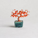 Twist BONSAI Kit - Persimmon - nomura tailor