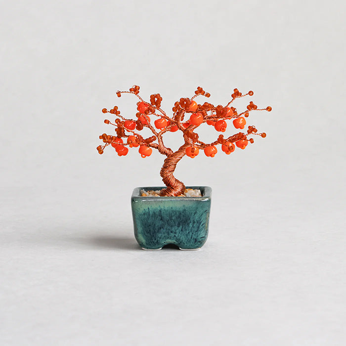 Twist BONSAI Kit - Persimmon - nomura tailor
