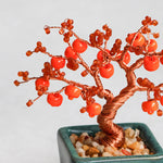 Twist BONSAI Kit - Persimmon - nomura tailor