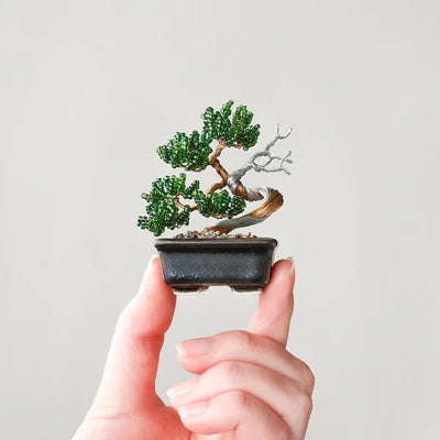 Twist BONSAI Kit - Persimmon - nomura tailor