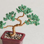 Twist BONSAI Kit - Pine - nomura tailor