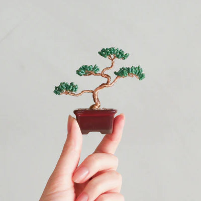 Twist BONSAI Kit - Pine - nomura tailor