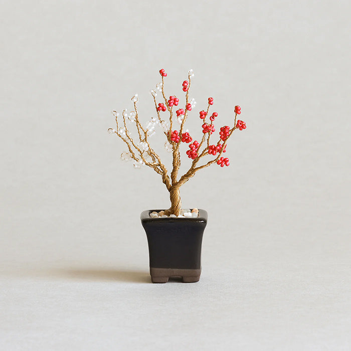 Twist BONSAI Kit - Plum Blossom - nomura tailor