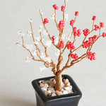 Twist BONSAI Kit - Plum Blossom - nomura tailor