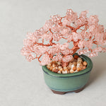 Twist BONSAI Kit - Cherry Blossoms - nomura tailor
