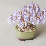 Twist BONSAI Kit - Wisteria - nomura tailor