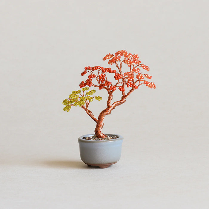 bonsai tree wire kit Twist BONSAI Kit