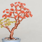 Twist BONSAI Kit - Maple - nomura tailor