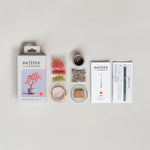 Twist BONSAI Kit - Maple - nomura tailor