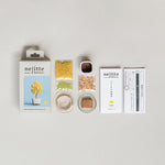 Twist BONSAI Kit - Ginkgo - nomura tailor