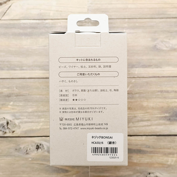 Twist BONSAI Kit - Ginkgo - nomura tailor