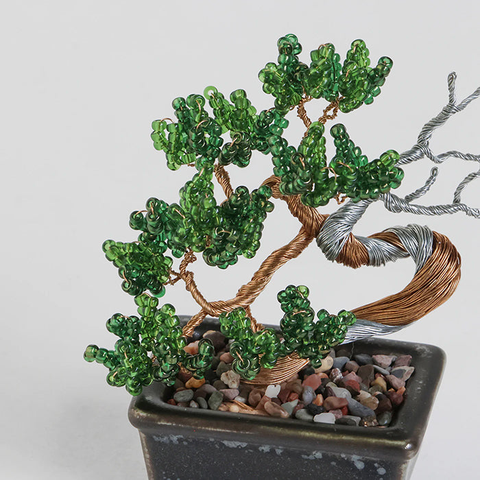 Twist BONSAI Kit - Shimpaku - nomura tailor