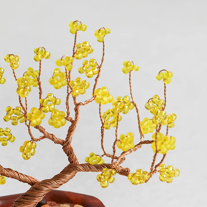 Twist BONSAI Kit - Wintersweet - nomura tailor