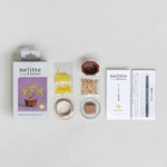 Twist BONSAI Kit - Wintersweet - nomura tailor