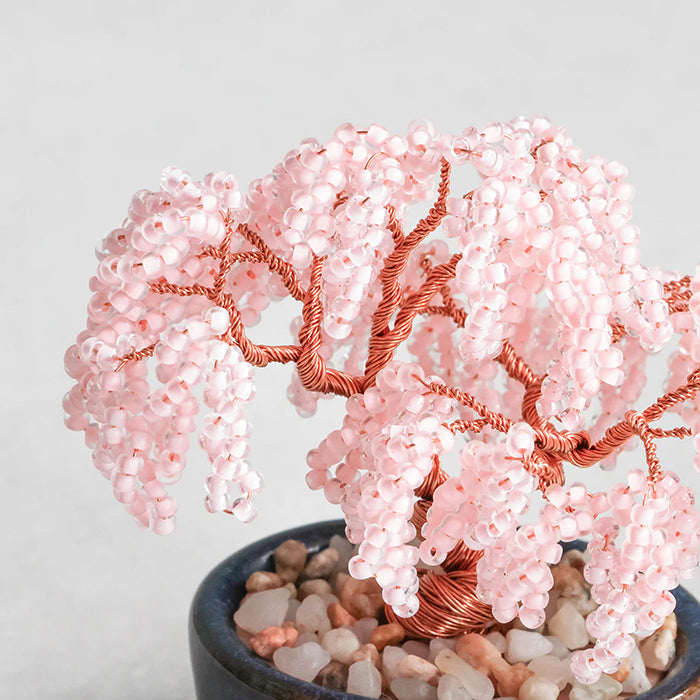 Twist BONSAI Kit - Weeping Cherry - nomura tailor