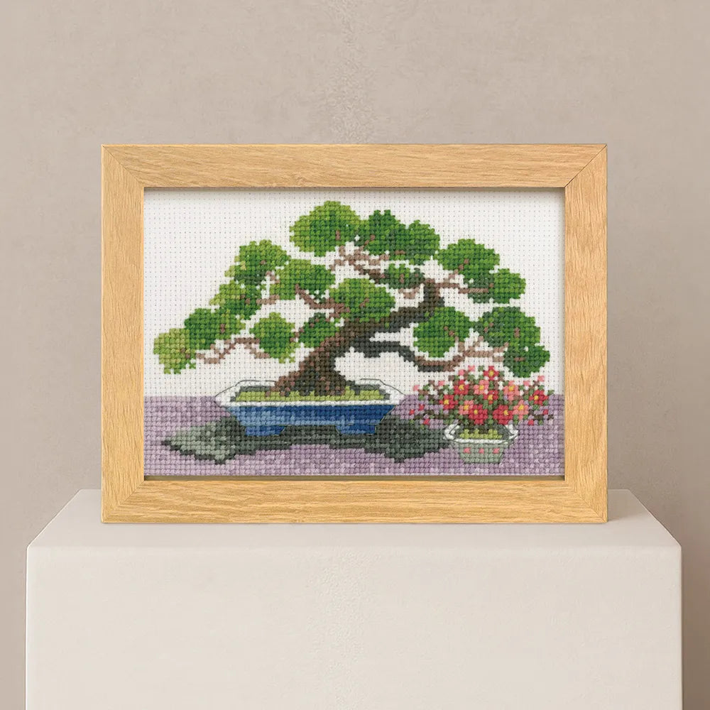 12 Months of BONSAI - Marie Catherine Collection - January Nishiki Pine and Winter Boke - nomura tailor