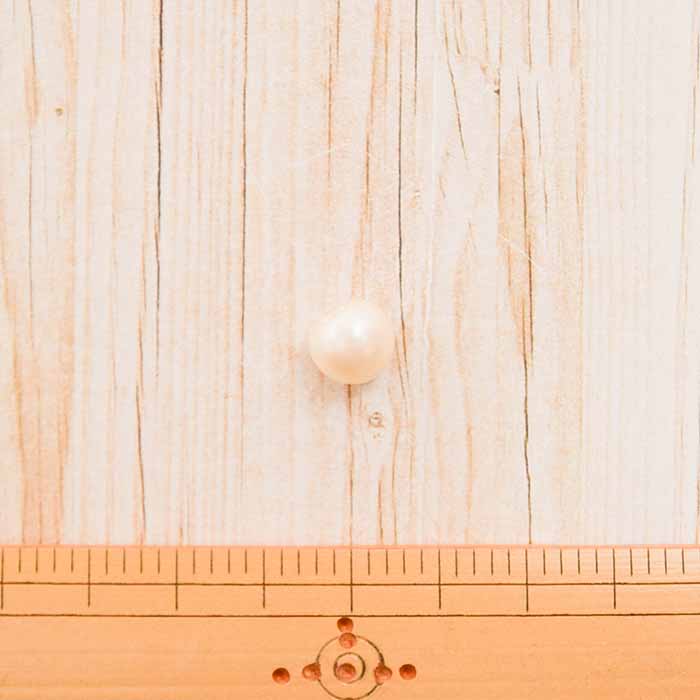 Pearl button (off) 10mm - nomura tailor