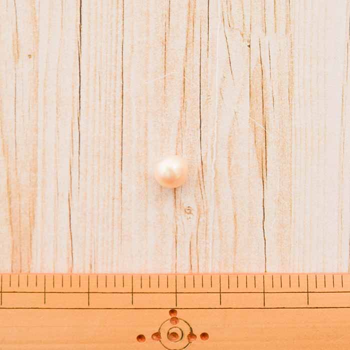 Pearl button (off) 8mm - nomura tailor