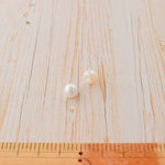 Pearl button 8mm - nomura tailor