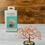 Twist BONSAI Kit - Cherry Blossoms - nomura tailor