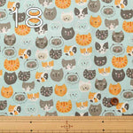 USA Cotton moda Here kitty kitty - nomura tailor