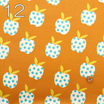 USA Cotton Printed Fabric - moda Ruby Star Society MYSTIC FABLE - nomura tailor