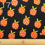 USA Cotton Printed Fabric - moda Ruby Star Society MYSTIC FABLE - nomura tailor