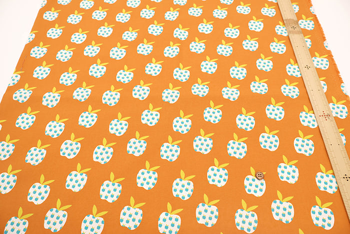 USA Cotton Printed Fabric - moda Ruby Star Society MYSTIC FABLE - nomura tailor
