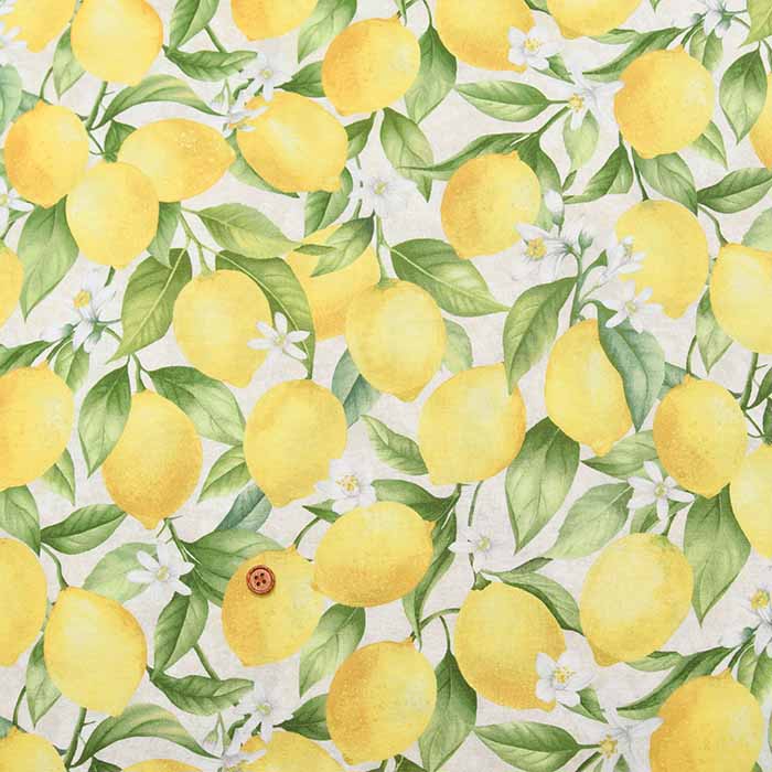 USA Cotton Timeless Treasures Lemon - nomura tailor