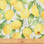 USA Cotton Timeless Treasures Lemon - nomura tailor