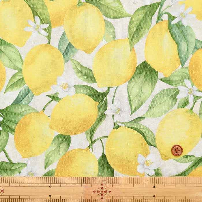 USA Cotton Timeless Treasures Lemon - nomura tailor