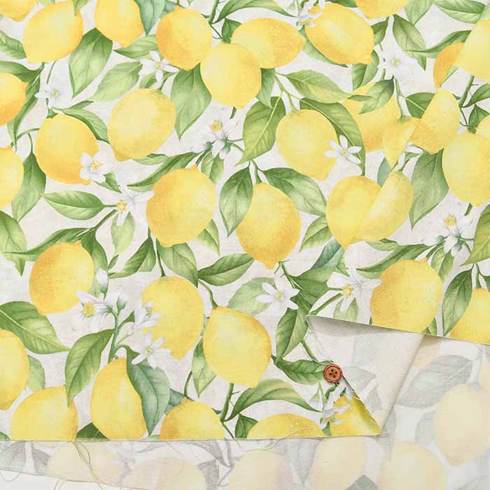 USA Cotton Timeless Treasures Lemon - nomura tailor