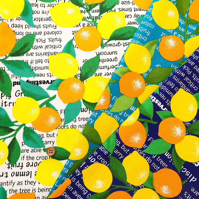 Cotton Oxford Printed Fabric - Lemon - nomura tailor
