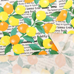 Cotton Oxford Printed Fabric - Lemon - nomura tailor